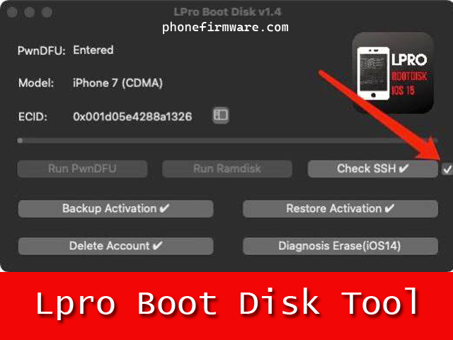 Lpro disk tool